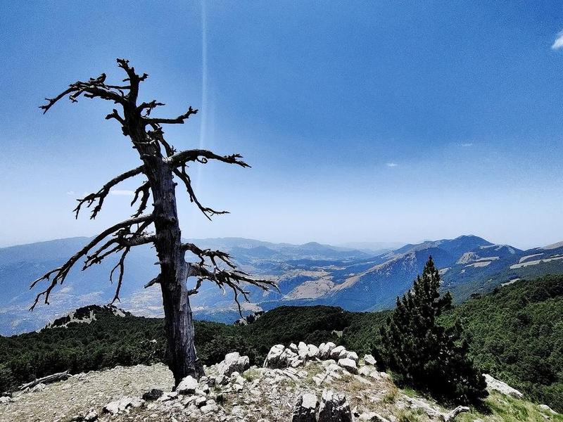 Monte Pollino dalla Cresta Est