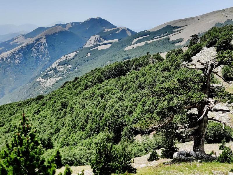 Monte Pollino dalla Cresta Est