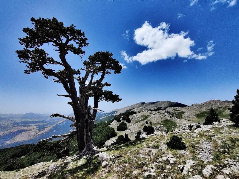 Monte Pollino dalla Cresta Est
