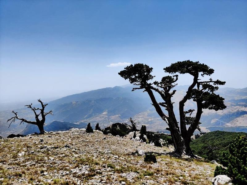 Monte Pollino dalla Cresta Est