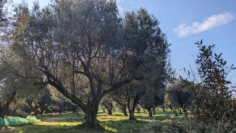 Calabria Coast to Coast