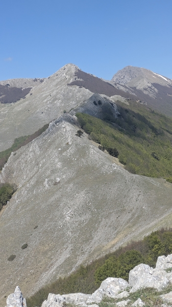 I Loricati della Manfriana