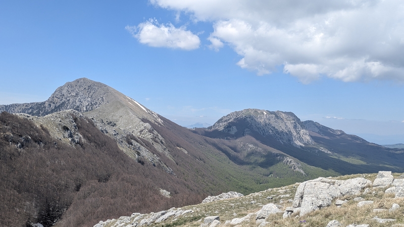 I Loricati della Manfriana