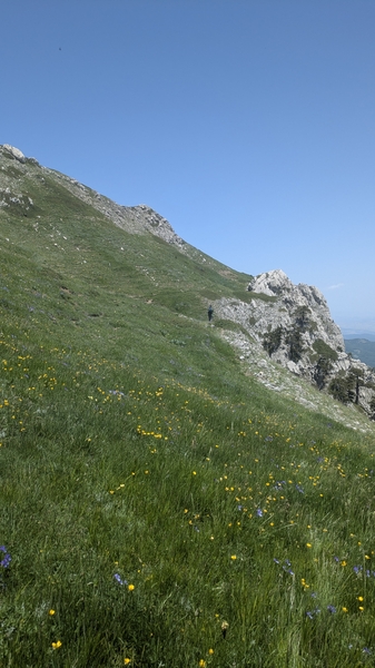 I Giganti di Serra delle Ciavole