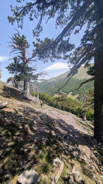 I Giganti di Serra delle Ciavole