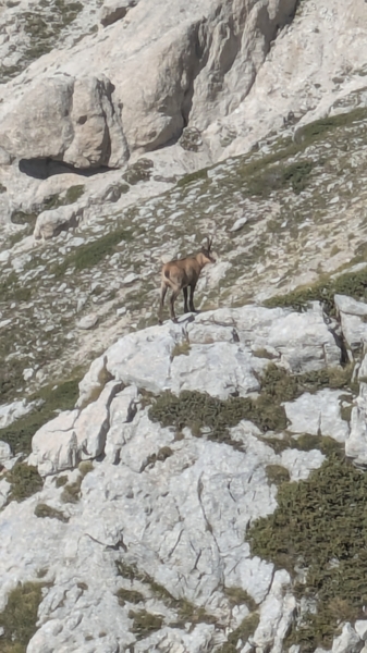 Il primo Gran Sasso non si scorda mai